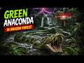 Green Anaconda in Amazon Rainforest 🐍 | Anaconda Snake Documentary (4K)