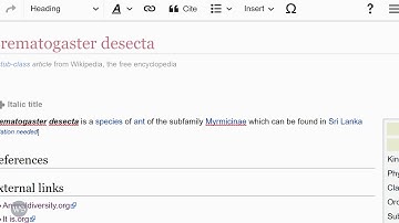 [45] Remove External Link and Tag Article as Unsourced