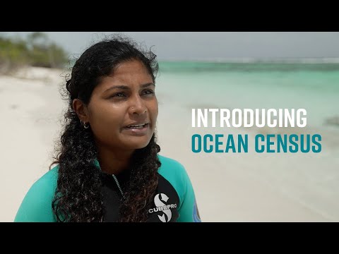 Introducing Ocean Census, with David Shukman