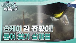 야망 있는 대한 외국인 저스틴, 문어 잡기 성공?! l #어서와한국살이는처음이지 l #MBCevery1 l EP. 02