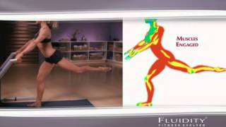 FL 3D fluidity