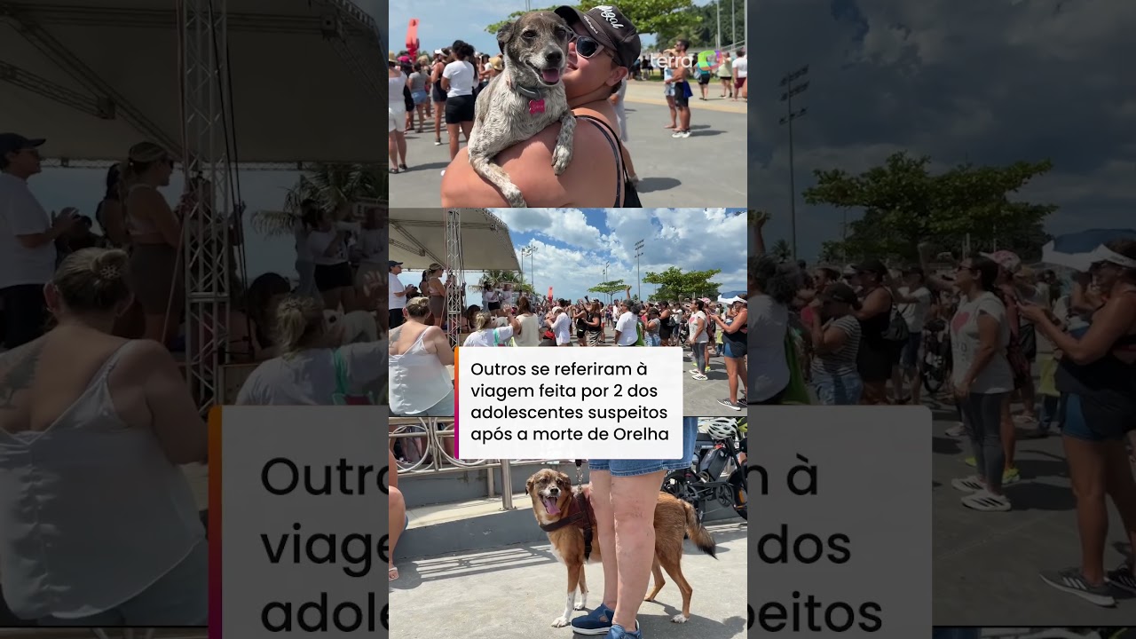 Manifestantes pedem 'Justiça pelo cão Orelha' em protestos por várias cidades do País 