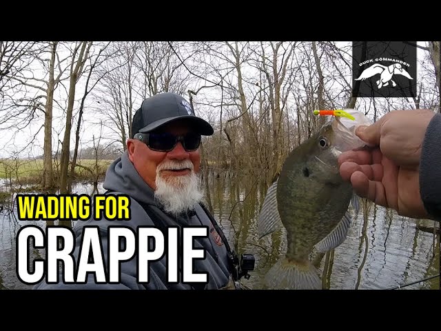 Wade Fishing for HUGE Spawning Crappie 