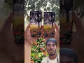 Vivo X300 Pro Vs Vivo X200 Pro Photography Test #mobilepapa #shorts