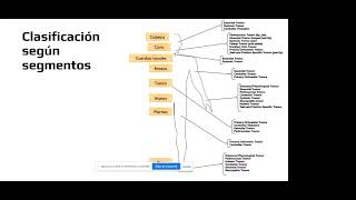 17 18 Temblor; Tnos del movimiento