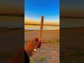 شوقي ياعود البردي هاذ هو عود البردي حالات واتس ترند تيك توك