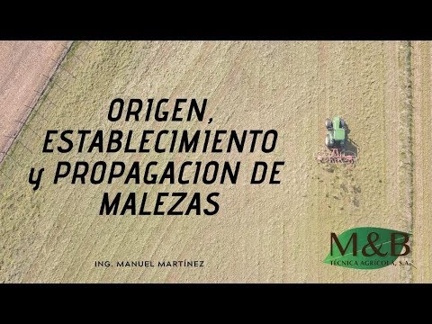 Manejo y Origen de Malezas