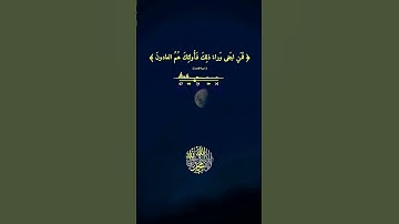 أوائل سورة المؤمنون بصوت هادئ جدا #ياسر_الدوسري #قران_كريم #المصحف #راحة_نفسية