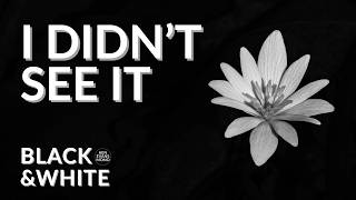 WHAT WE MISS BEFORE WE TAKE THE PHOTO screenshot 5