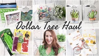 DOLLAR TREE HAUL JUNE 2019 | NEW DOLLAR STORE FINDS