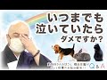 Q7.いつまでも泣いていたらダメですか？／ペット供養Q&A