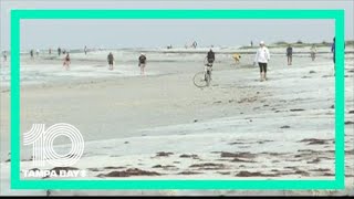 Sarasota County beaches reopen Monday with restrictions
