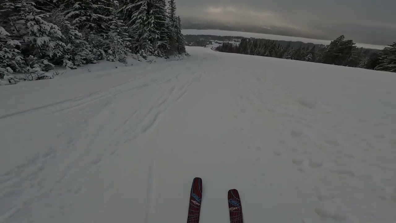 Lofsdalen topp till botten