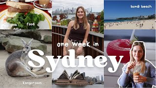 how to spend 5 days in Sydney ✨ great food & drinks, beaches, shopping, zoo | Sydney guide 2023 by Anna Sophia 132 views 6 months ago 11 minutes, 21 seconds