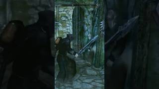 Belrand é um ótimo Follower! #Skyrim