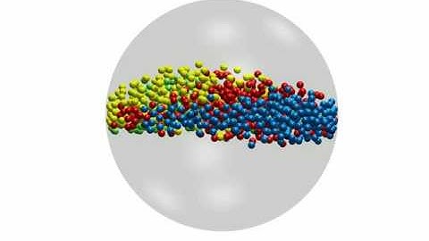 Contractile active colloids in a spherical confinement