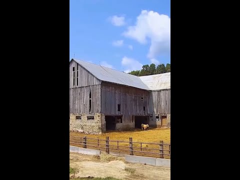 9th Generation Farmers