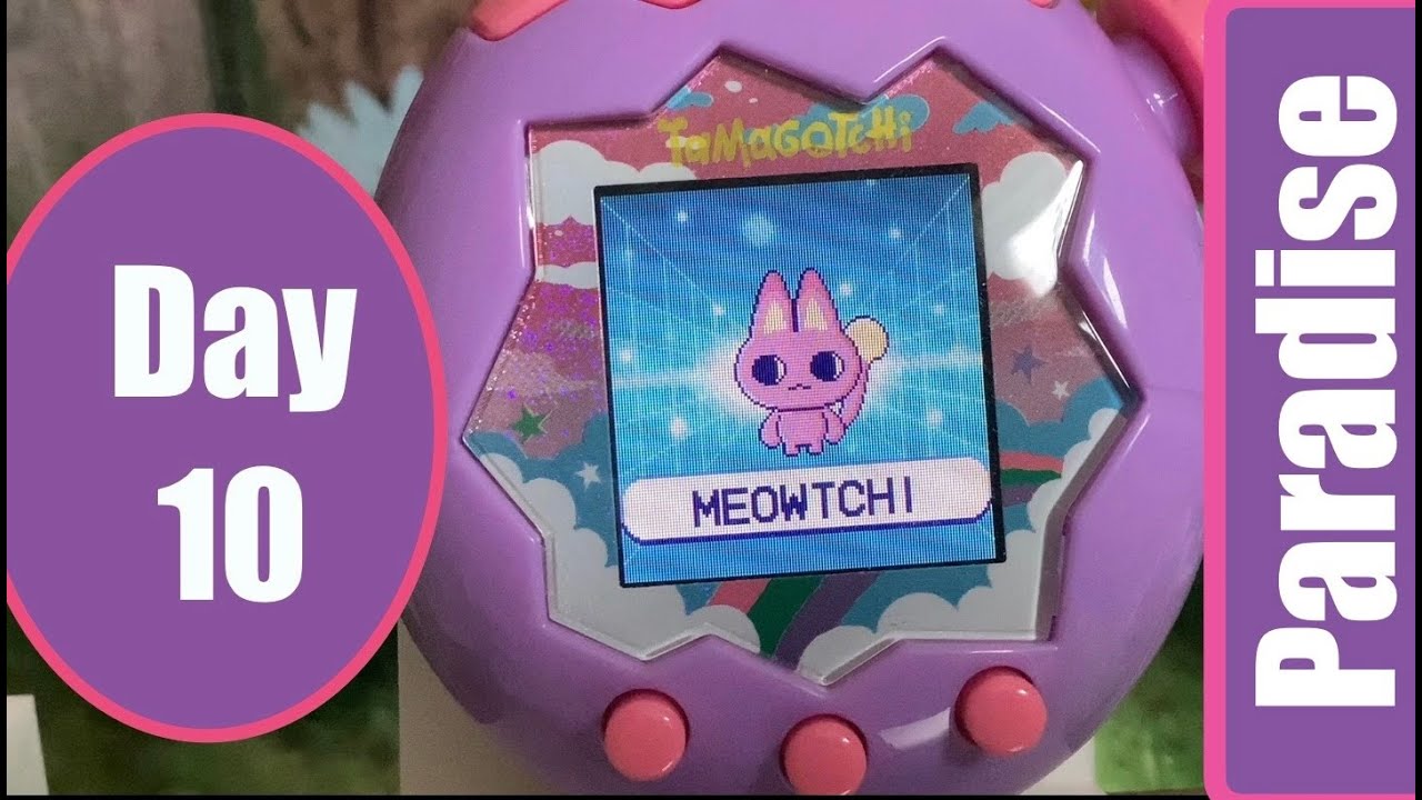 Tamagotchi Paradise Day 10: Codes & Moving a tama to a different field 