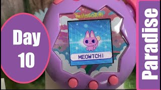 Tamagotchi Paradise Day 10: Codes & Moving a tama to a different