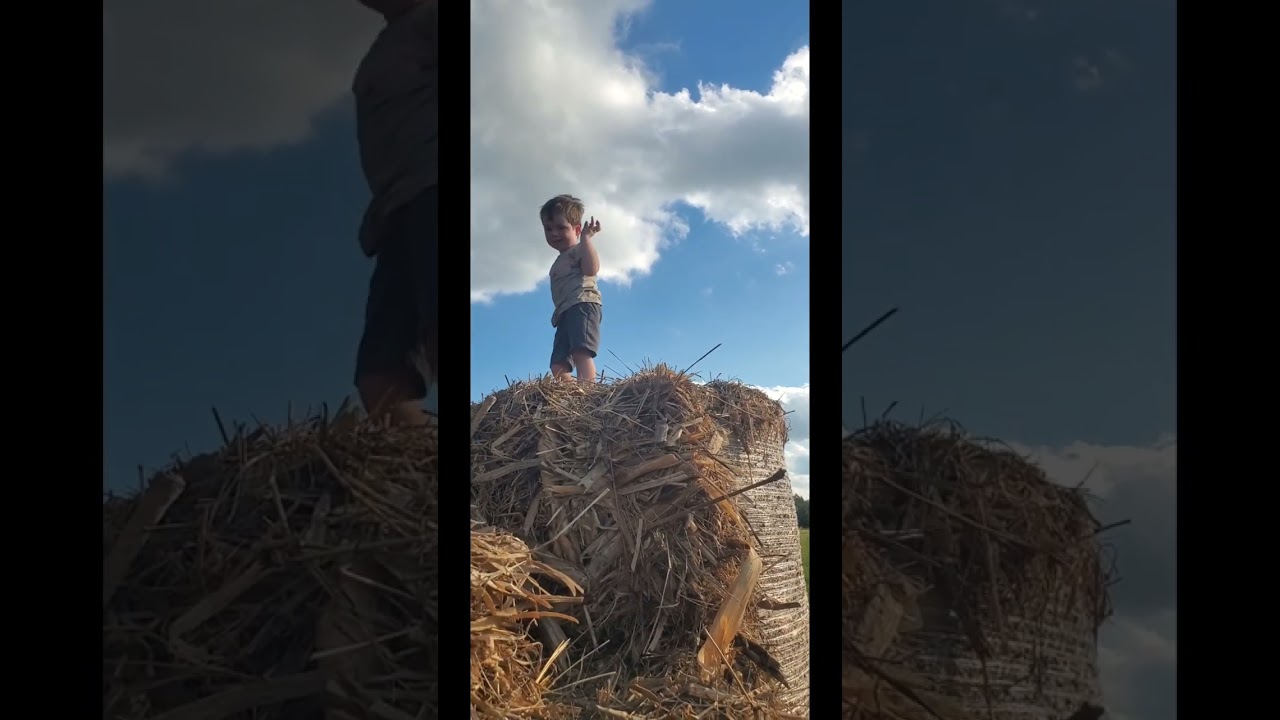 kids and dove hunting