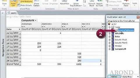 Using Access 2010 - Add and Delete Aggregate Functions in a PivotTable