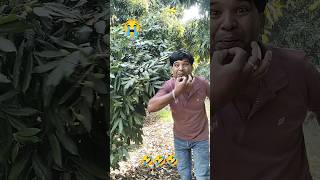 o my God#youtube #funny #comedy #likeandsubscribe