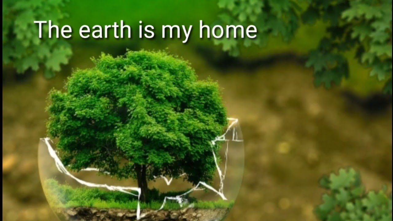 Earth is my home song  earth song with lyrics save the earth