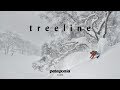 Treeline  the secret life of trees  patagonia films