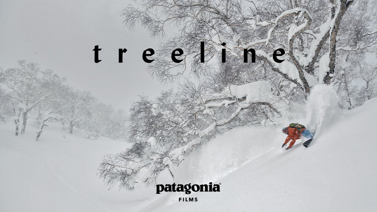 Treeline: A Story Written in Rings