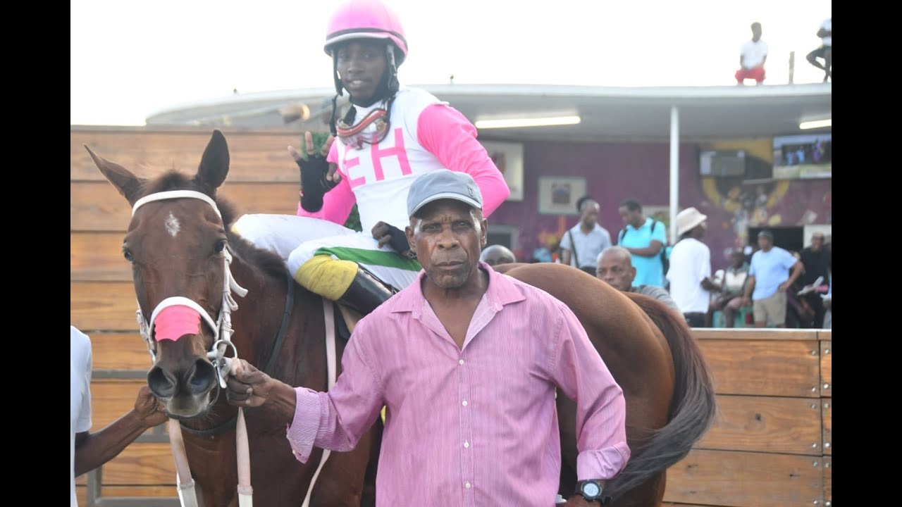 Sweeteners Plus Racing JAMAICA RACING: Sugar Sugar Sweetens Sat, Nov 2, 2024, 10th At 9-2 ...
