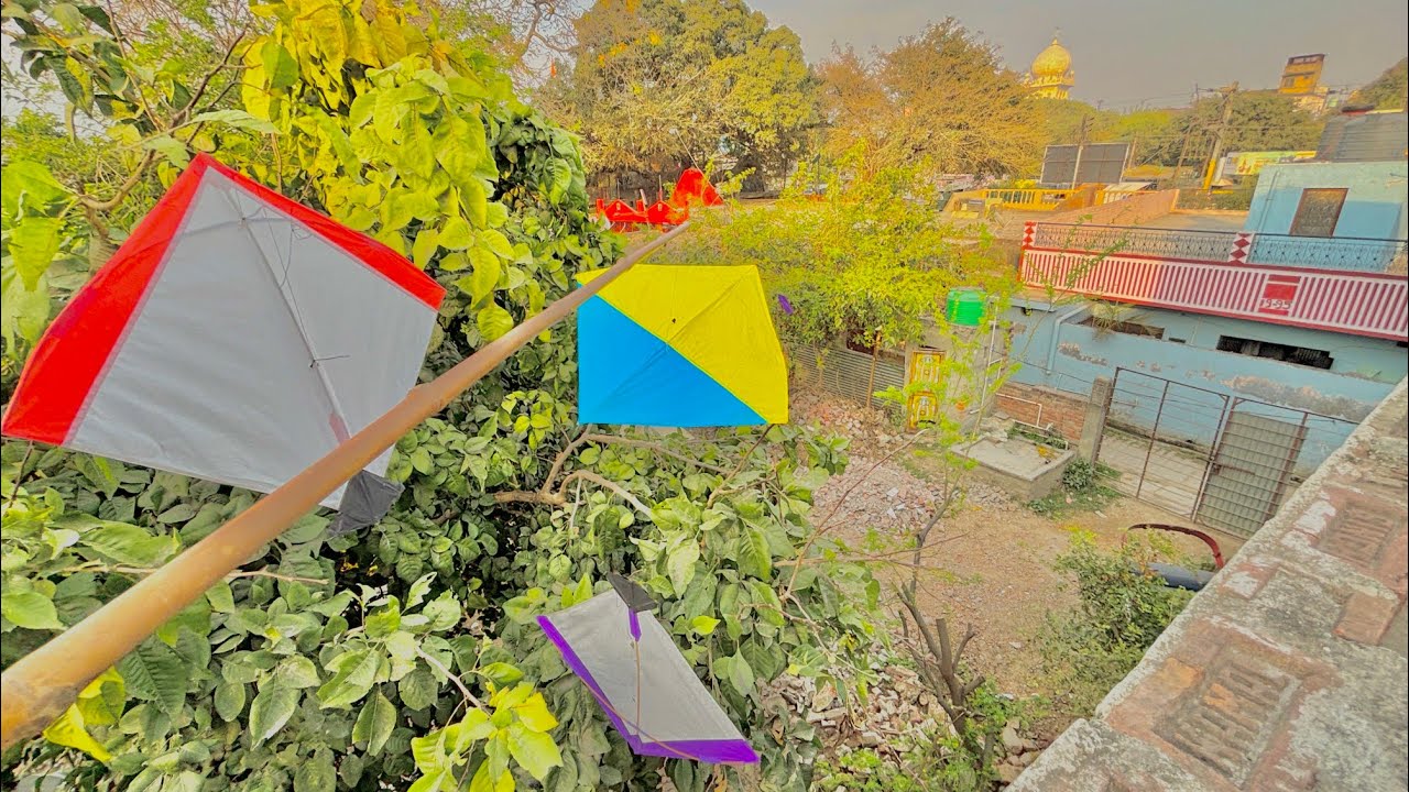 इतनी सारी पतंगे  लूट ली 🔥 Kite Looting