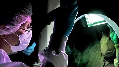 An Inside Look at ZYGO