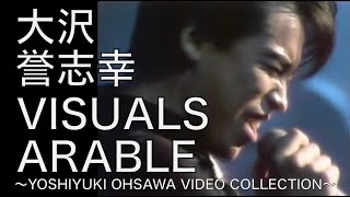 大沢誉志幸「VISUALS ARABLE ～YOSHIYUKI OHSAWA VIDEO COLLECTION～」