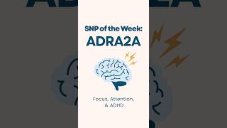 The focus, attention, and ADHD gene 🧠⚡️ #adhdawareness #adhdsupport #genetictesting #brainhealth