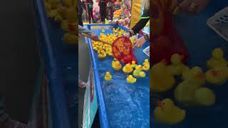 Catch a duck game