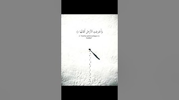 بنبرة حزينة سورة الزلزلة بصوت القارئ رعد بن محمد الكردي