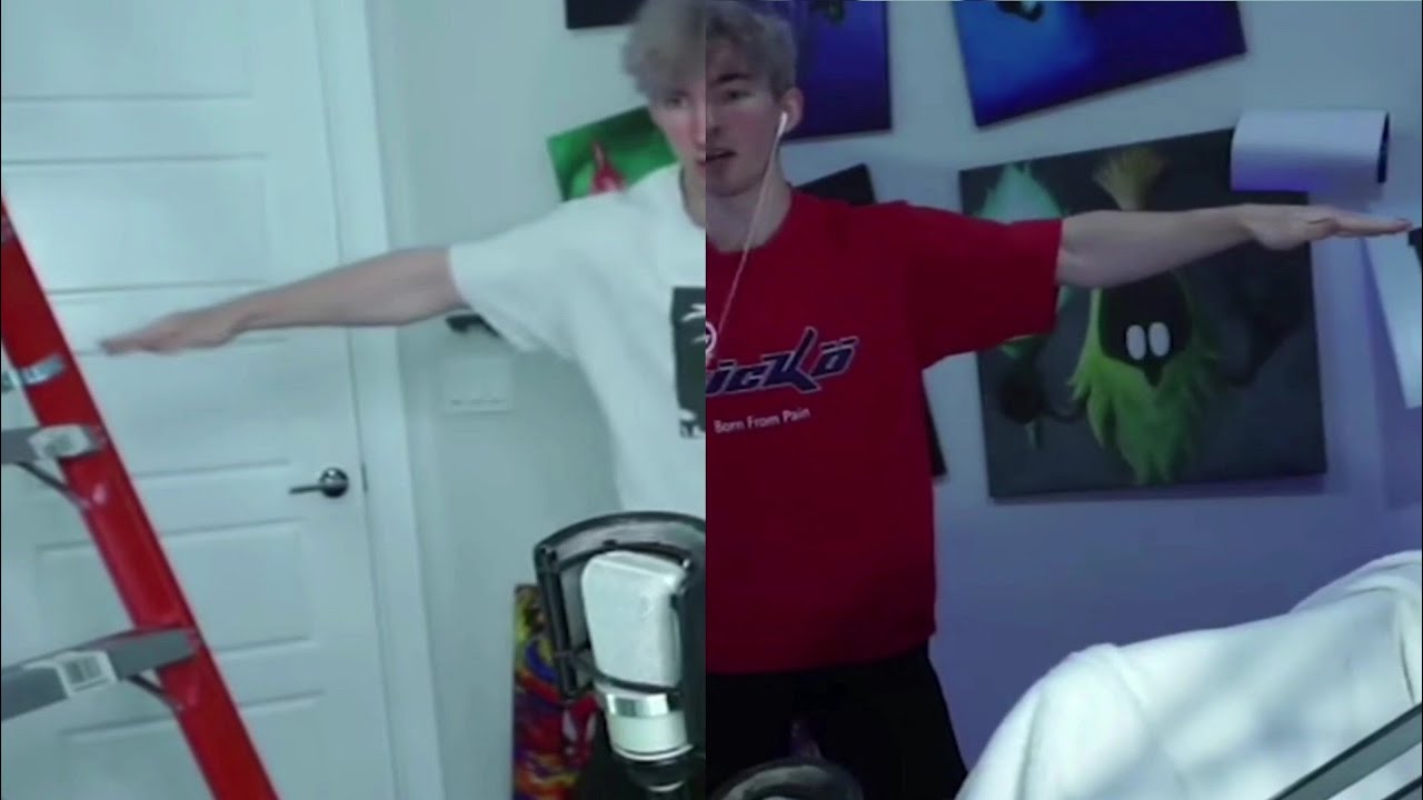 Flamingo ACTUALLY out of context but its 2019