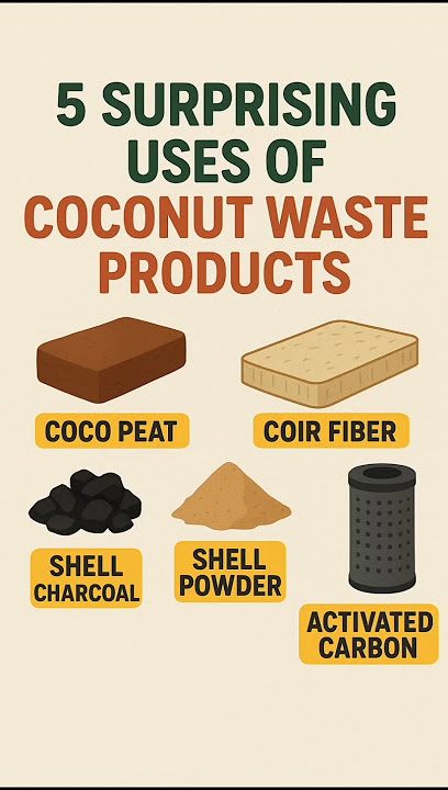 Download lagu Do you Know Charcoal Can Come From Coconut? #trending