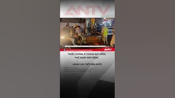 Triều cường ở TPHCM đạt đỉnh, phố ngập như sông #antv #thoisu #shorts #balu