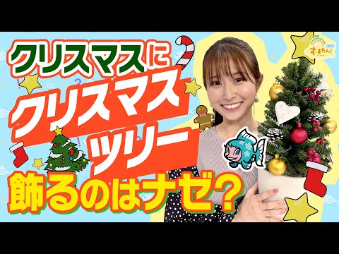 Xmasにツリーを飾るのはナゼ？～もみの木にまつわる伝説～／す・またん！