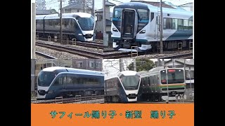 サフィール踊り子　E261系　３本　＋　新型踊り子　E257系　1本　通過します。カッコいいですね。JAPANESE RAILWAY ,JAPAN TARAIN