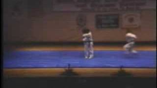 Hapkido Masters Demo - Jump Rolling