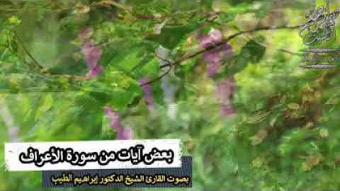 بعض ايات من سوره الاعراف بصوت القارئ الشيخ ابراهيم الطيب