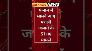 Breaking News: पंजाब में सामने आए पराली जलाने के 31 नए मामले #tv100