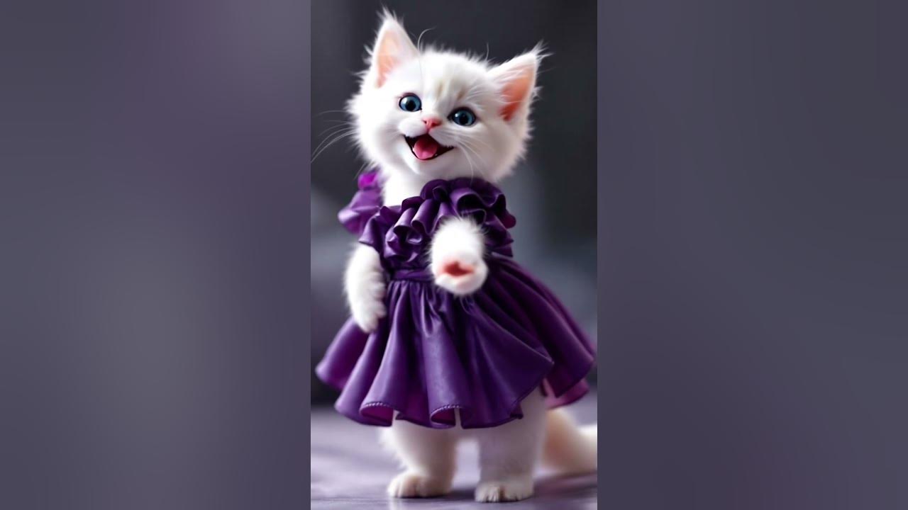 Bella Sings to Zunea Zunea π€#dancingcat #cat #cutecat #funnycat #dancingcat #dj #kitten #funny Bella Sings to Zunea Zunea π€#dancingcat #cat #cutecat #funnycat #dancingcat #dj #kitten #funny