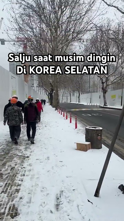 Salju saat musim dingin di KOREA SELATAN #koreaselatan #southkorea #tkikorea #salju