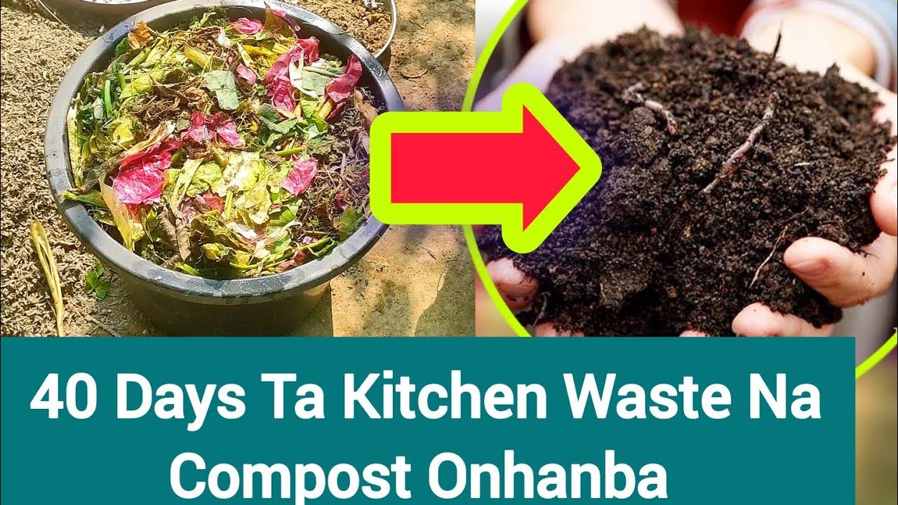 40 Days Ta Kitchen Waste Na Compost Kamaina Onhangani??||Home Gardening||Manipuri