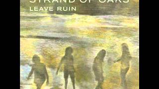 Video thumbnail of "Strand of Oaks - End in Flames"