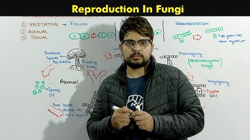Reproduction in Fungi ( Vegetative, Asexual and Sexual Reproduction in Fungi)