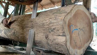teknologi mesin penggergajian kayu jati terbaik di sawmill Indonesia